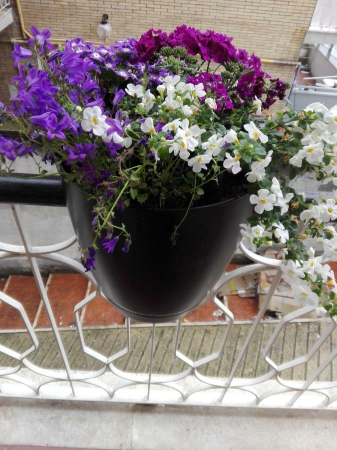 Interno 1 Ciampino Roma Luxury Apartment Con Balcone エクステリア 写真